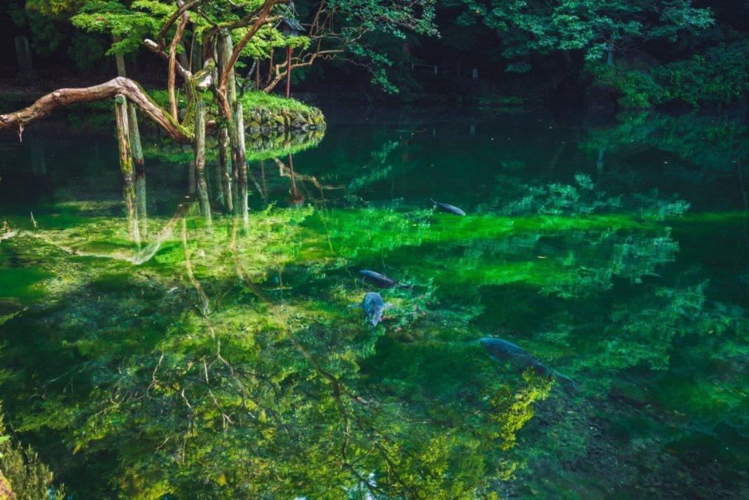 幻想乡大冒险