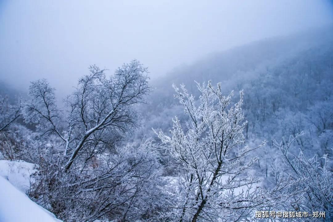 花千骨第几集白子画说曾经帮过你的人害你会更容易- 高品质的知识星球平台