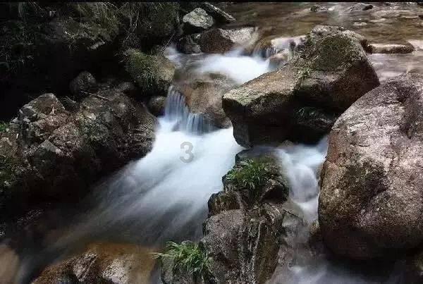 星动，只为你