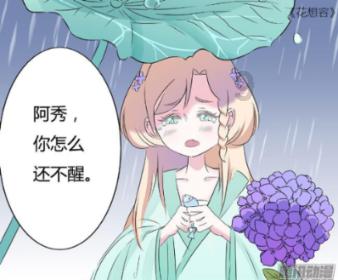 公主的阅读区
